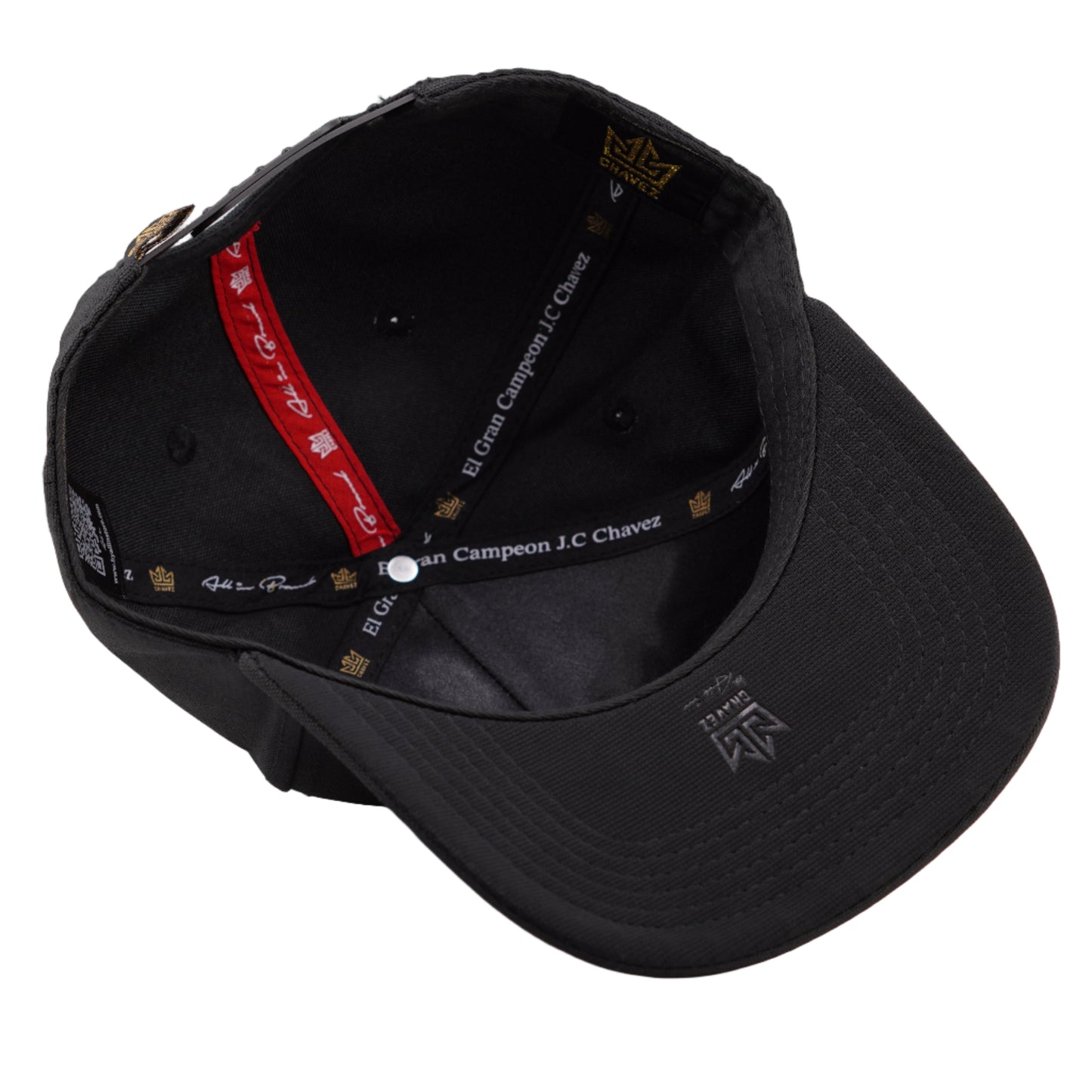 El gran Campeón Curva SnapBack Negra