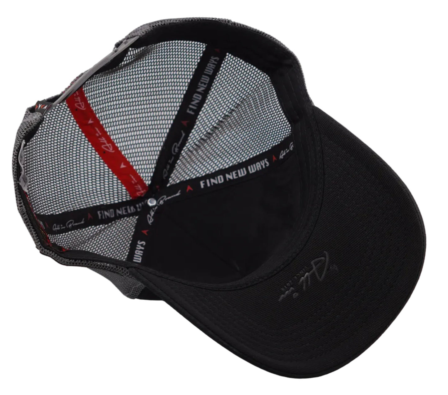 Horizonte Artificial ALG