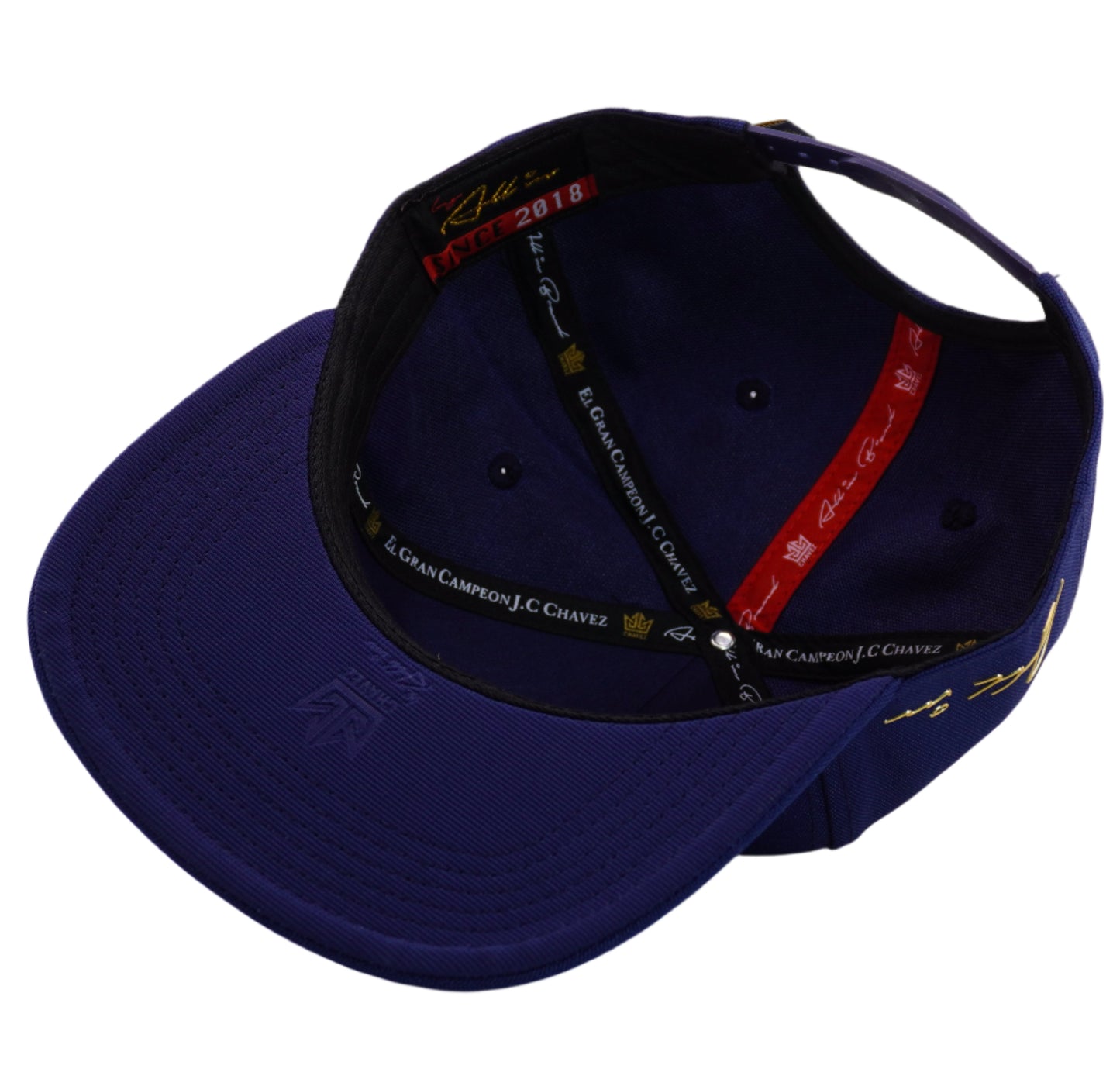 El gran Campeón SnapBack Azul